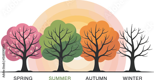 Illustration showing roles and responsibilities of different job positions circle