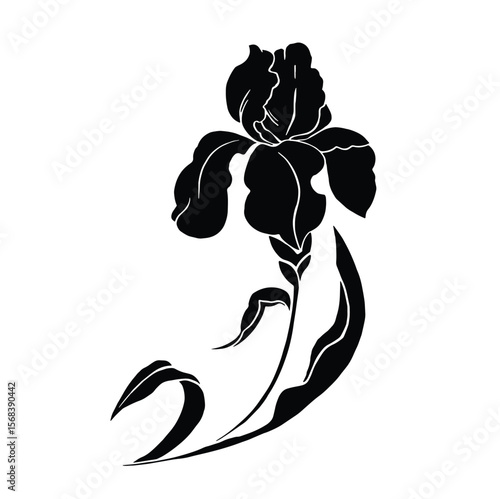 Iris flower sinuet vector for decor