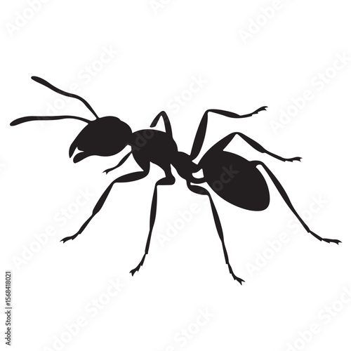 Black ant insect isolated on white background with detailed macro view of its legs, antenna, and abdomen