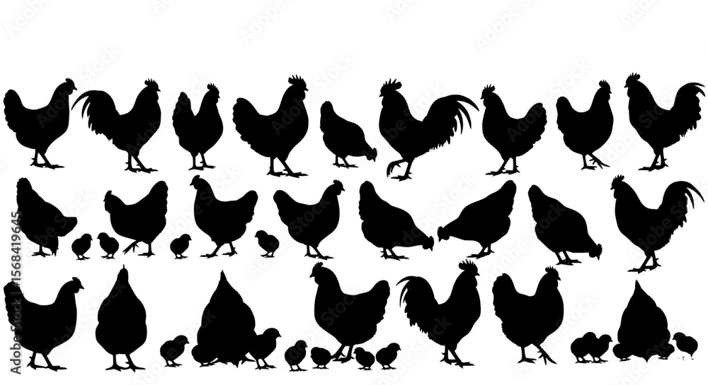 Naklejka premium Collection of black chicken and chick silhouettes in various poses and sizes isolated on transparent background silhouette
