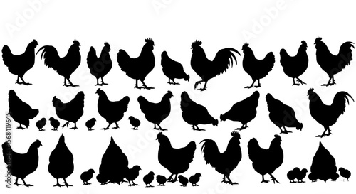 Collection of black chicken and chick silhouettes in various poses and sizes isolated on transparent background silhouette