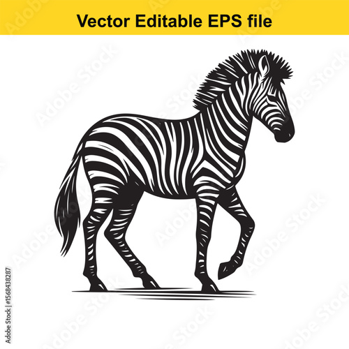 Striking Zebra Illustration A Bold Black and White Vector Design of an African Animal Walking