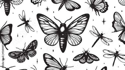 Black and white moths and dragonflies pattern butterfly dragonfly