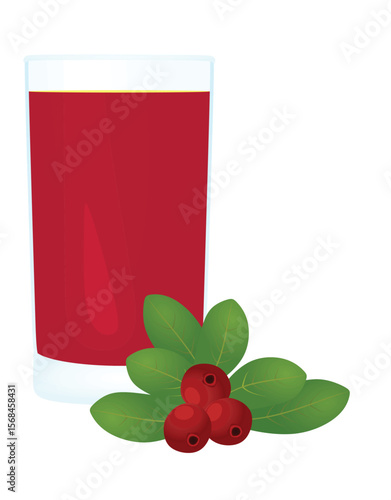 Cranberry juice with a fresh cranberries beside glass, vector	