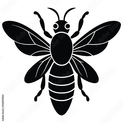 Black silhouette of a bee with detailed wings and segmented body insect white