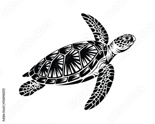 Black and White Tribal Turtle Graphic – Intricate Shell and Flipper Patterns

