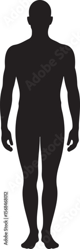 Human silhouette body figure full length person standing