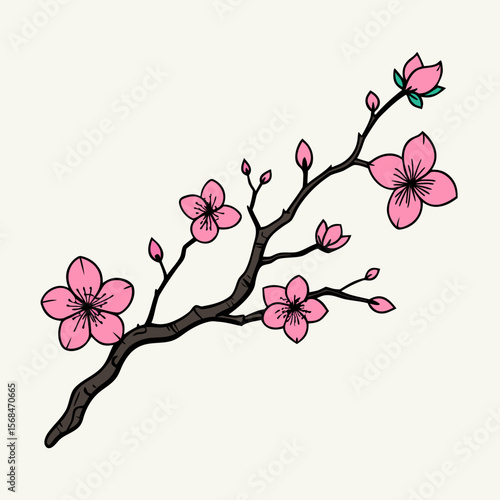 Pink cherry blossoms on dark branch pink flower nature