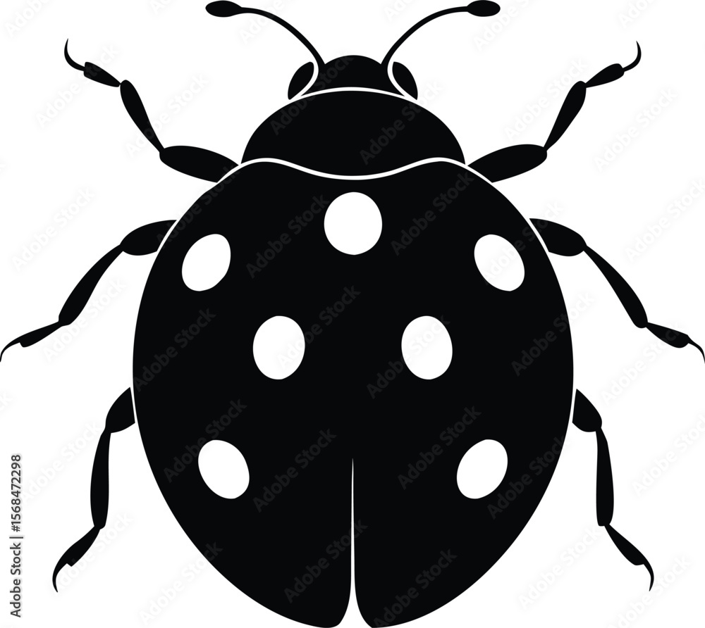 Fototapeta premium ladybug silhouette vector