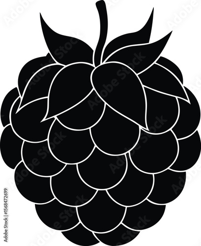 raspberry silhouette vector icon