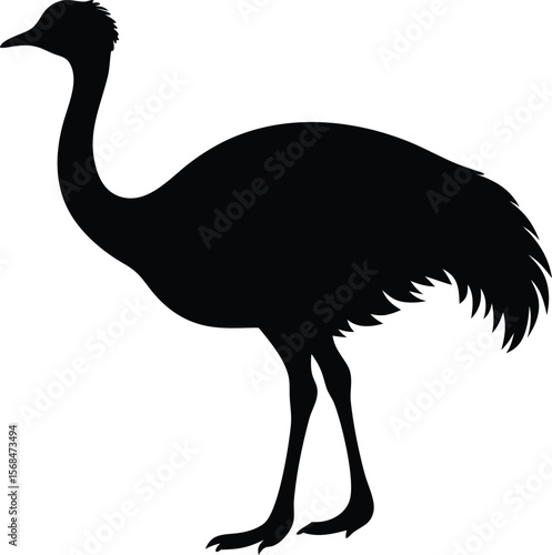 emu bird silhouette vector icon