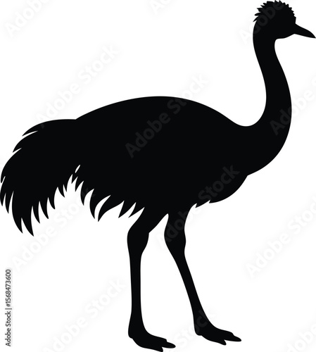 emu bird silhouette vector