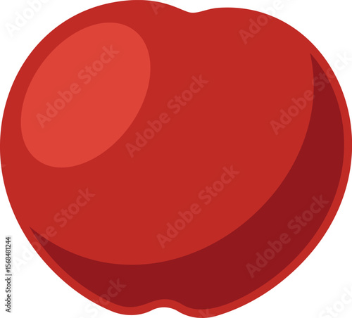 Fresh tomato vegetable vector illustration