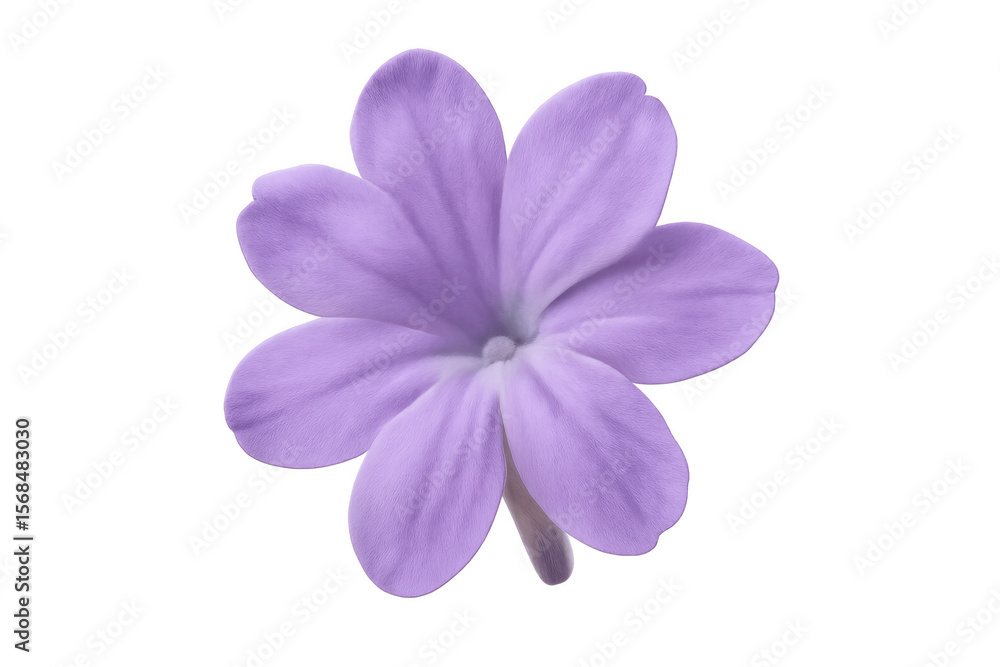 Obraz premium Purple iris flower featuring transparent png background, ideal for digital design and botanical artwork