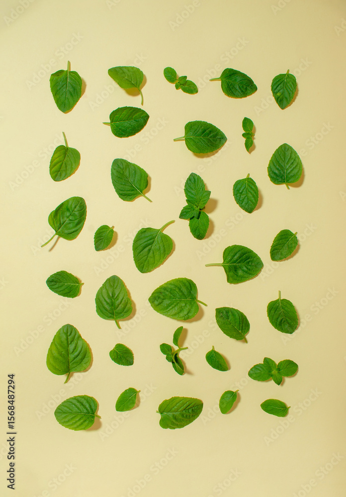 Creative arrangement of mint leaves on a beige background. Flat lay Creative arrangement of mint leaves on a beige background. Flat lay