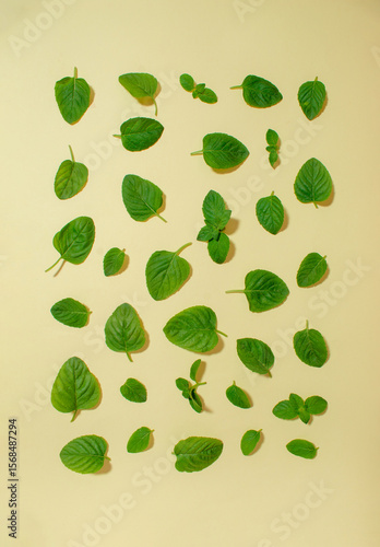 Creative arrangement of mint leaves on a beige background. Flat lay