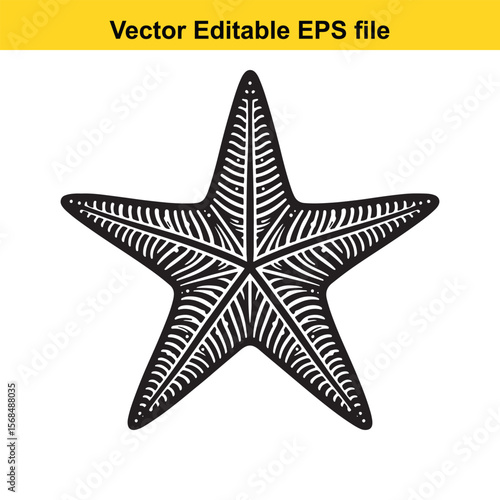 Monochrome Starfish Illustration Artistic Sea Life Depiction Detailed Vector Graphic for Creative Projects and Nautical Designs