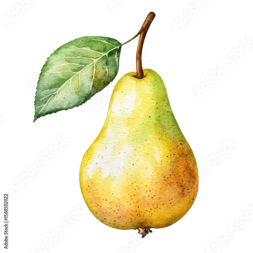 . Pear with leaf watercolor illustration isolated on whit subject