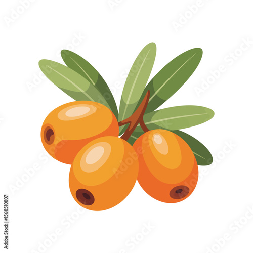 Sea Buckthorn Berries with Leaves Illustration