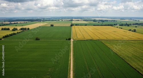 Aerial view of expansive agricultural landscape with vibrant green and yellow fields under a partly cloudy sky showcasing rural farmland and countryside scenery