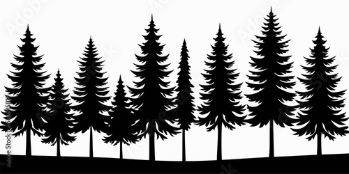A row of diverse evergreen pine trees silhouetted against a pure white background isolated on white background