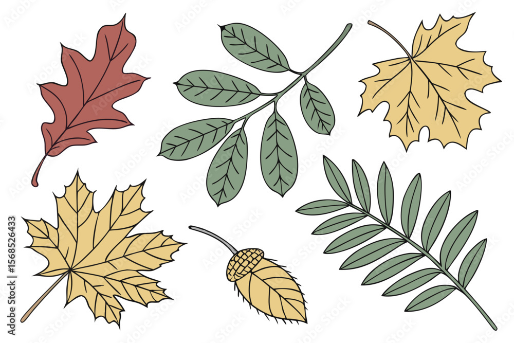 Obraz premium Leaf Vector Icon Set — Greenery, Doodle, Flat & Realistic Leaves for Nature, Organic, and Eco Brands