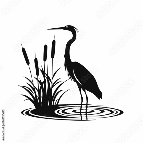 Elegant heron silhouette standing in a water pond with reeds image vector isolated on white background.