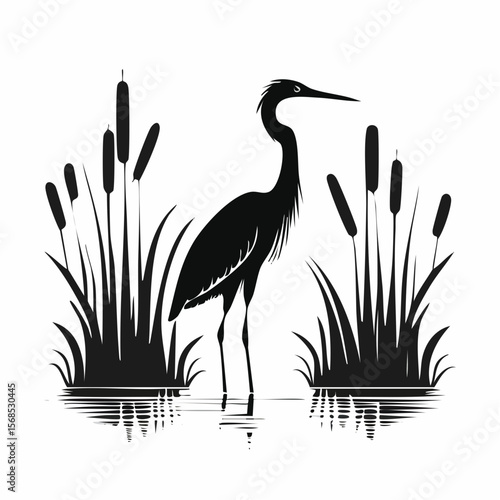 Elegant heron silhouette standing in a water pond with reeds image vector isolated on white background.