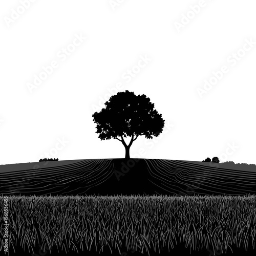 Monochromatic vista with tree silhouette on rolling field, a peaceful black and white landscape. Isolated arboreal form. Minimalist design.