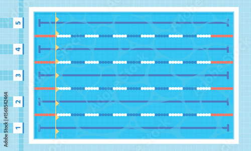 Sport swimming pool. Cartoon olympic or fitness center swim zone, athletic workout pool divided into tracks. Top view public water element, racy vector scene