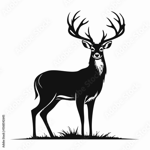Majestic Whitetail Deer Buck Silhouette vector image isolated on white background.