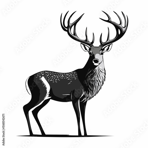 Majestic Whitetail Deer Buck Silhouette vector image isolated on white background.