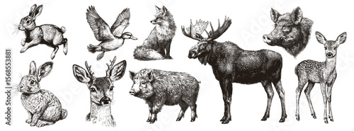 wild animals engraving. rabbit duck fox deer roe deer wild boar elk, venison game meat bird mammals hunting hunter prey forest nature vector illustration