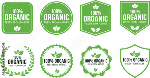 Set of green 100 percent organic product labels with leaves, eco-friendly certified food and natural skincare packaging use perfect for branding and retail design.
