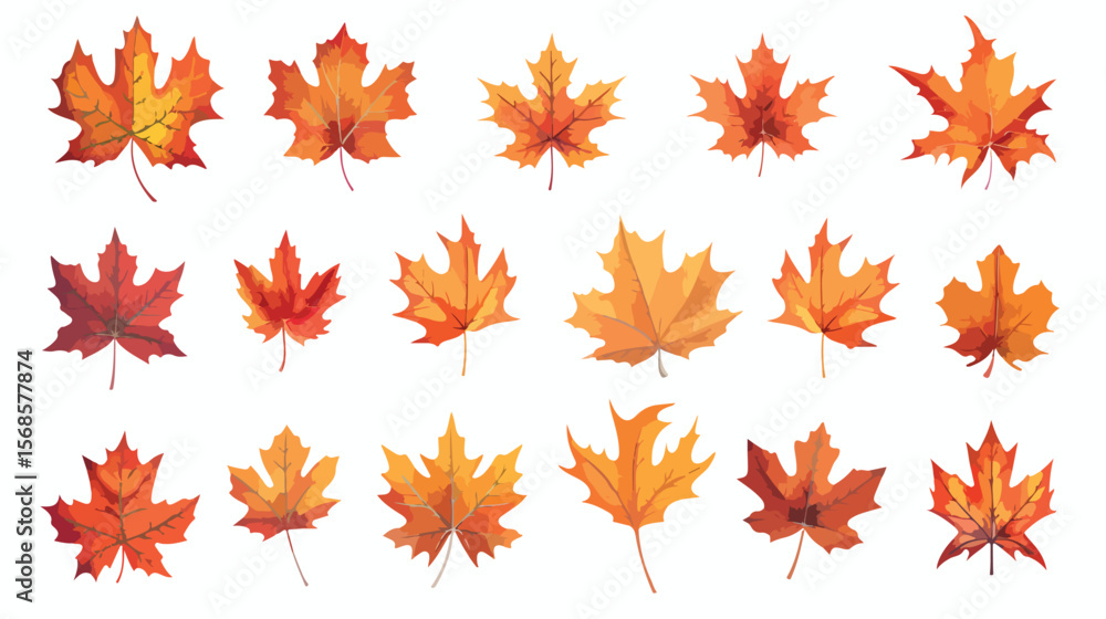 Vibrant Autumn Maple Leaves: Close-up, Isolated, Detailed Fall Foliage Perfect for Design Projects Vibrant Autumn Maple Leaves: Close-up, Isolated, Detailed Fall Foliage Perfect for Design Projects