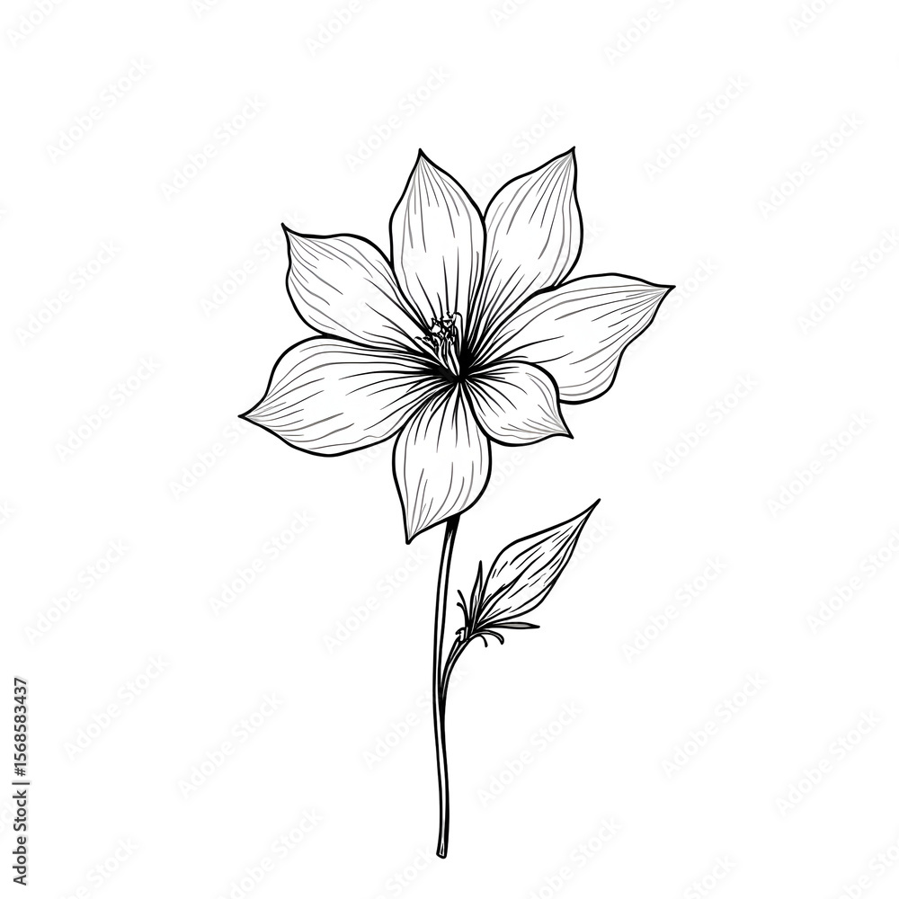 Obraz premium illustration of a flower drawing