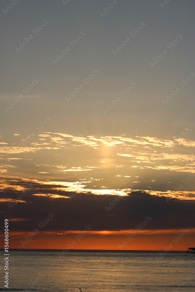 Fototapeta premium Scenes from San Francisco Bay Area