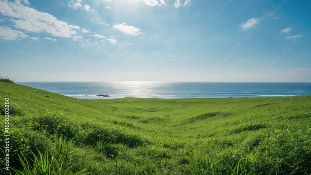 Green Meadow With Ocean View featuring Empty Copy Space For Text Green Meadow With Ocean View featuring Empty Copy Space For Text