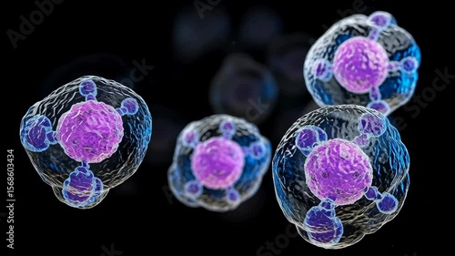 3D rendering of lymphocytes and biological immune system components, highlighting cellular defense mechanisms. Scientific, detailed visualization with caption space on the side for educational or medi