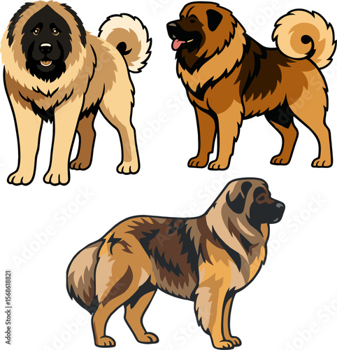 Caucasian shepherd dog.eps