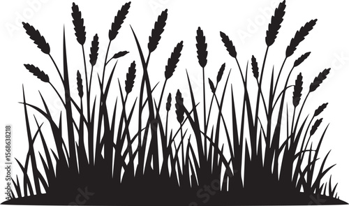 wild grass and wheat silhouette vector, black natural field scene with tall blades and grain stalks for rural and botanical design