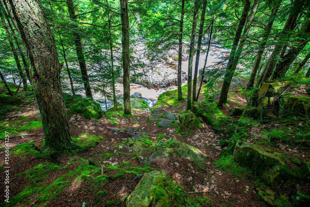 Dells of the Eau Claire River county park in Aniwa, Wisconsin in early summer Dells of the Eau Claire River county park in Aniwa, Wisconsin in early summer