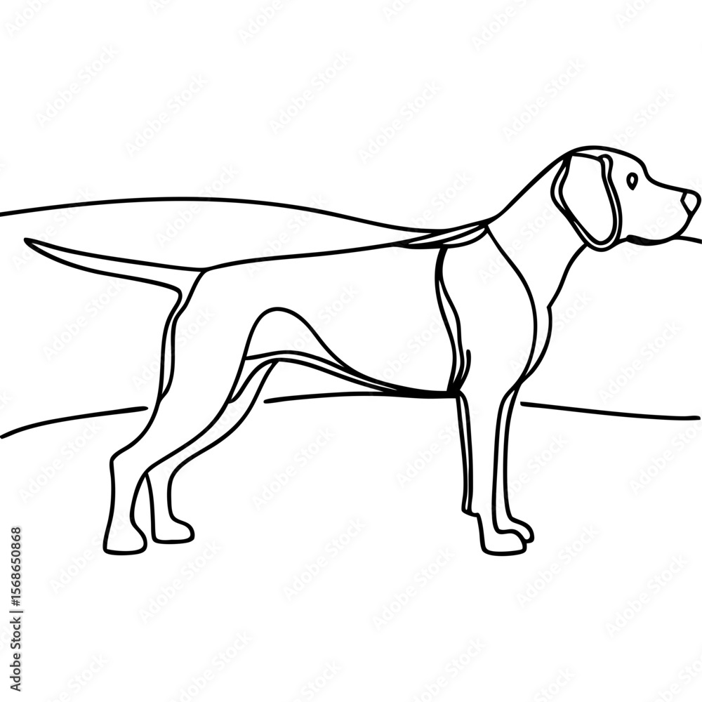 Obraz premium Vizsla pointing in field is captured in simple line drawing, depicting dog in outdoor landscape. Vizsla pointing shows elegant outline and graceful stance.