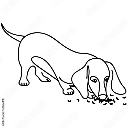 Dachshund digging in dirt, a line drawing of a cute dog searching in the ground. Dachshund digging in dirt with simple contour shows playful energy. 