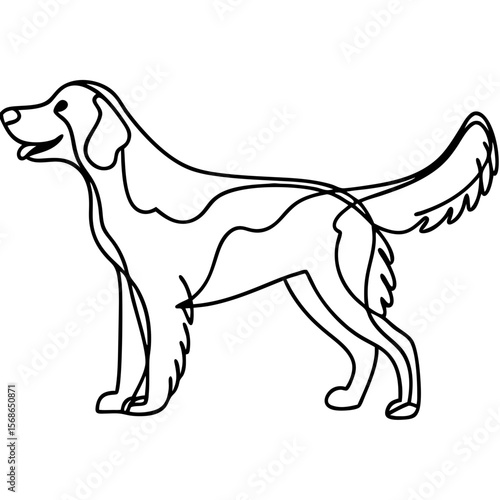 Irish setter wagging tail in profile. Charming line art, an Irish setter breed, is shown with its tail happily wagging, bringing joy to any viewer.