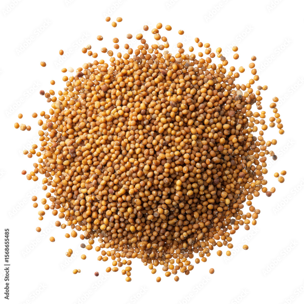 A heap of isolated buckwheat and coriander seeds on a white background A heap of isolated buckwheat and coriander seeds on a white background