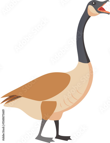 A Canada goose stretching its neck upwards, honking loudly into the air.
