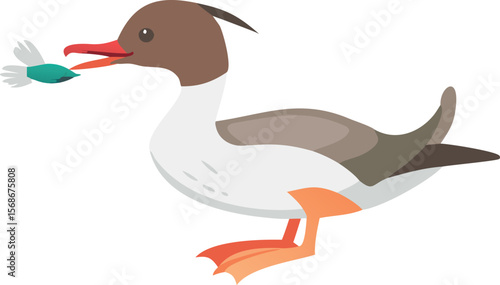 A common merganser duck with a fish in its bill, showcasing a successful hunt.