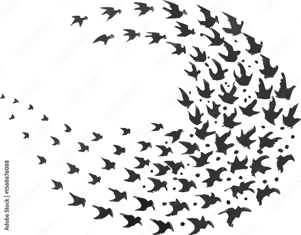 Obraz premium A flock of starlings in a murmurating swirl, capturing a beautiful shape.