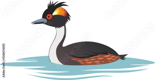 An eared grebe with prominent ear tufts, swimming gracefully on water.